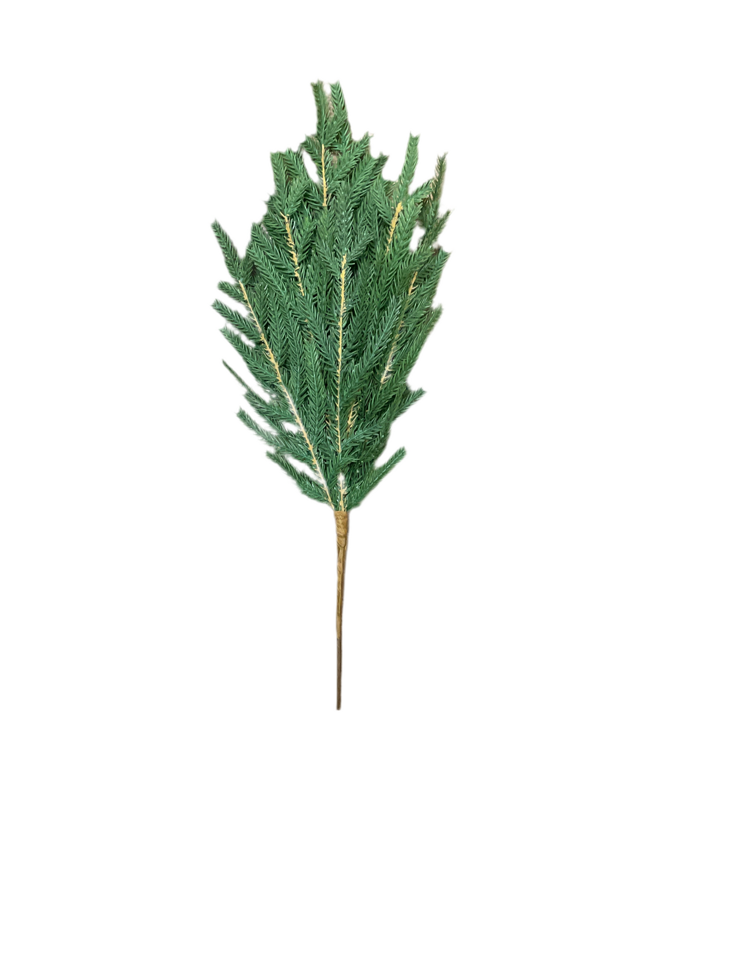 26” Gold Magnolia Leaf Stem