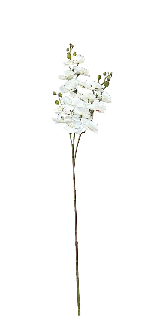 47” White Orchid Spray
