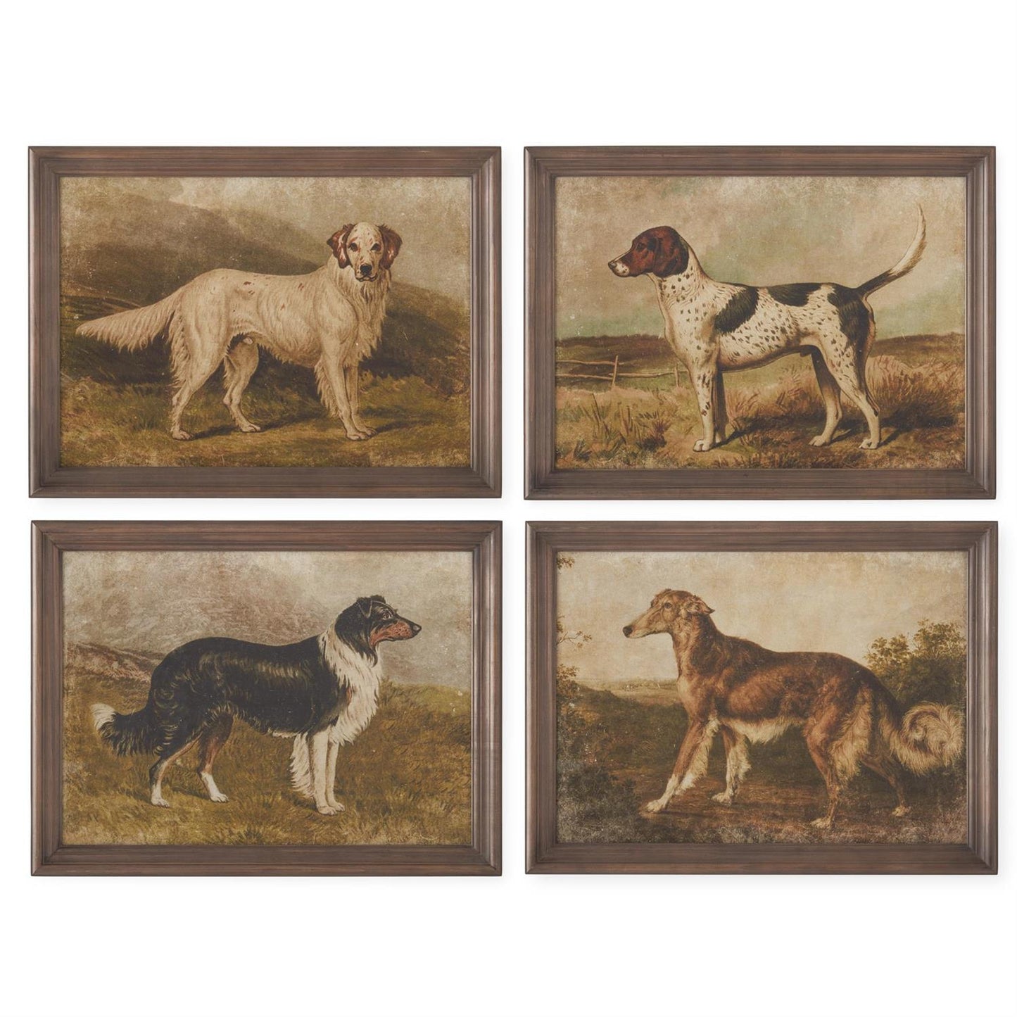 Assorted 23.5 Inch Dog Prints (4 Styles)