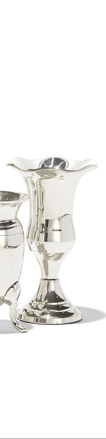 Queen Anne’s Silver Vase ( 6 Styles)
