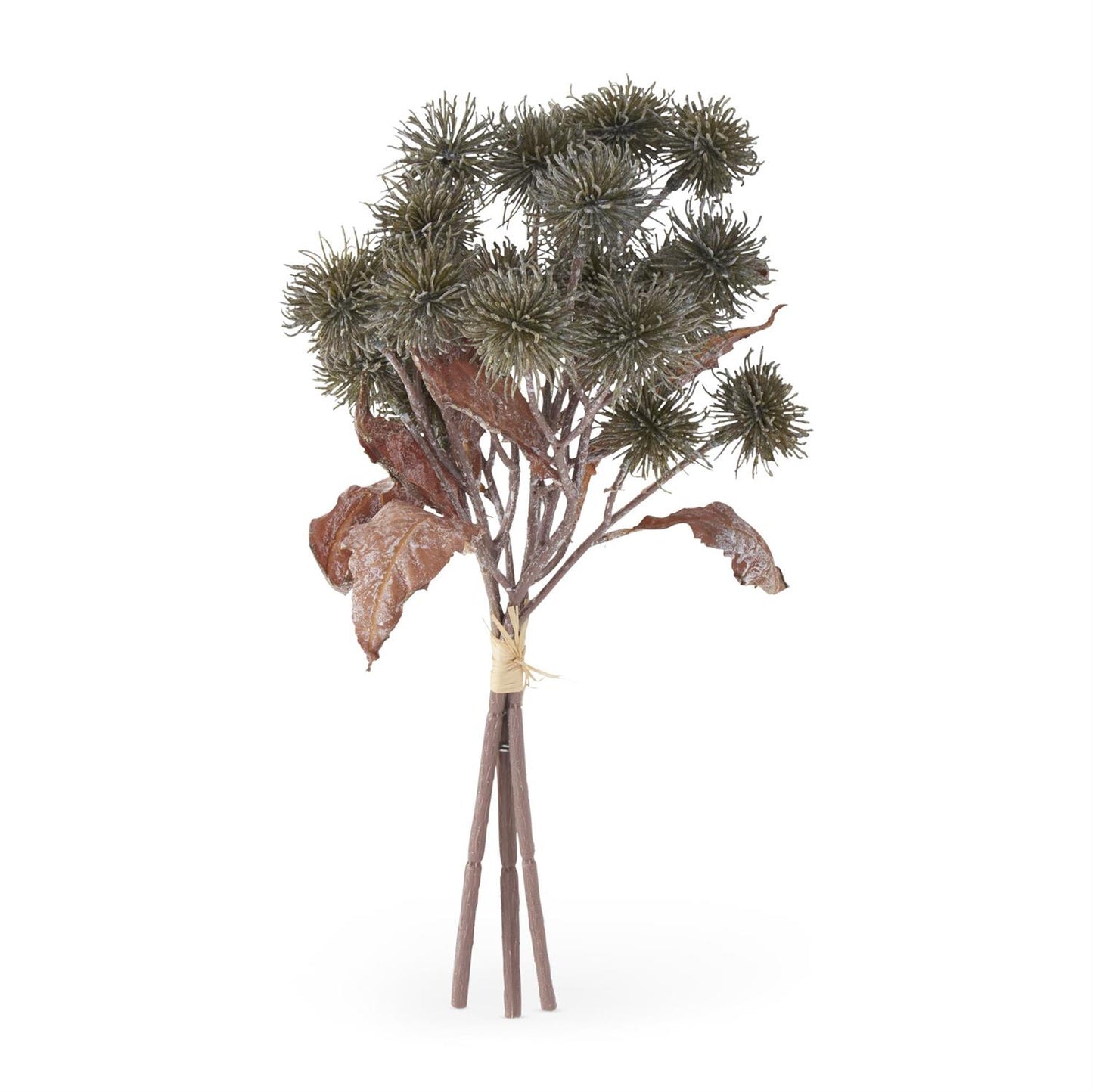 15 Inch Green Sycamore Fruit Bundle (3 Stems)