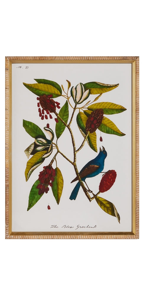 Nestled in Nature Framed Wall Art
