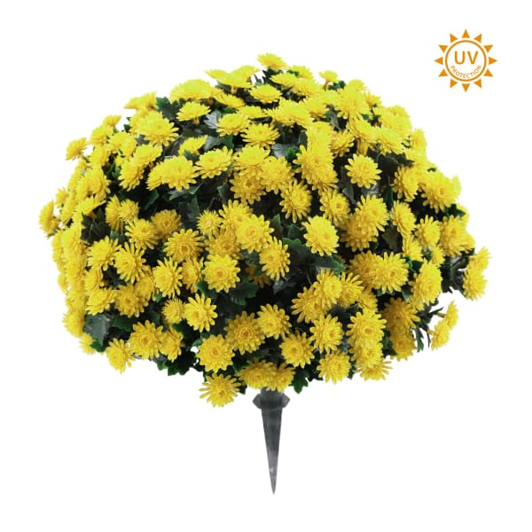 Yellow Mum Stake or Bush