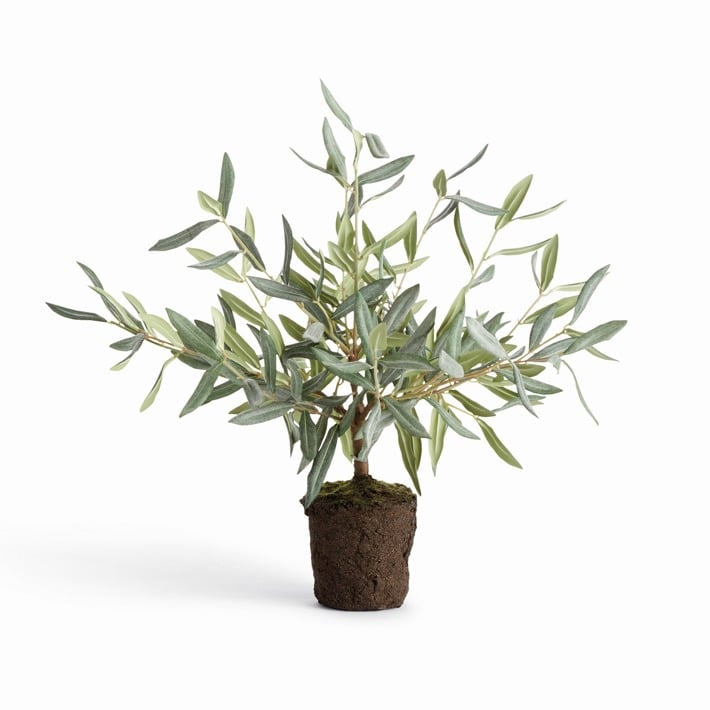Olive Tree Drop-In 17.5”