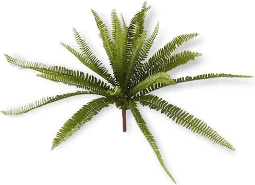 26” Fern Bush