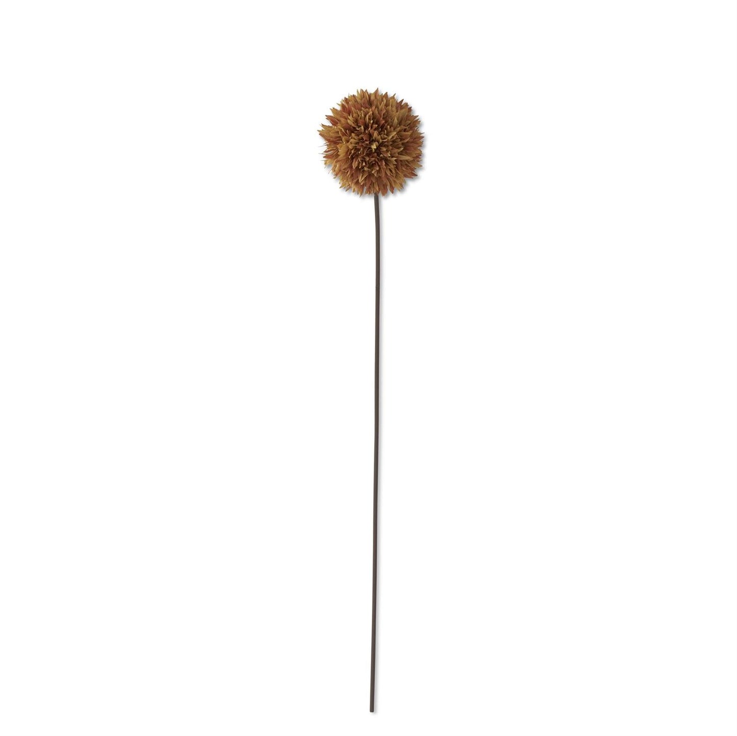 26” Brown Allium Stem