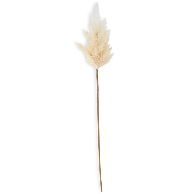 35” Flocked Cream Pampas Grass Branch