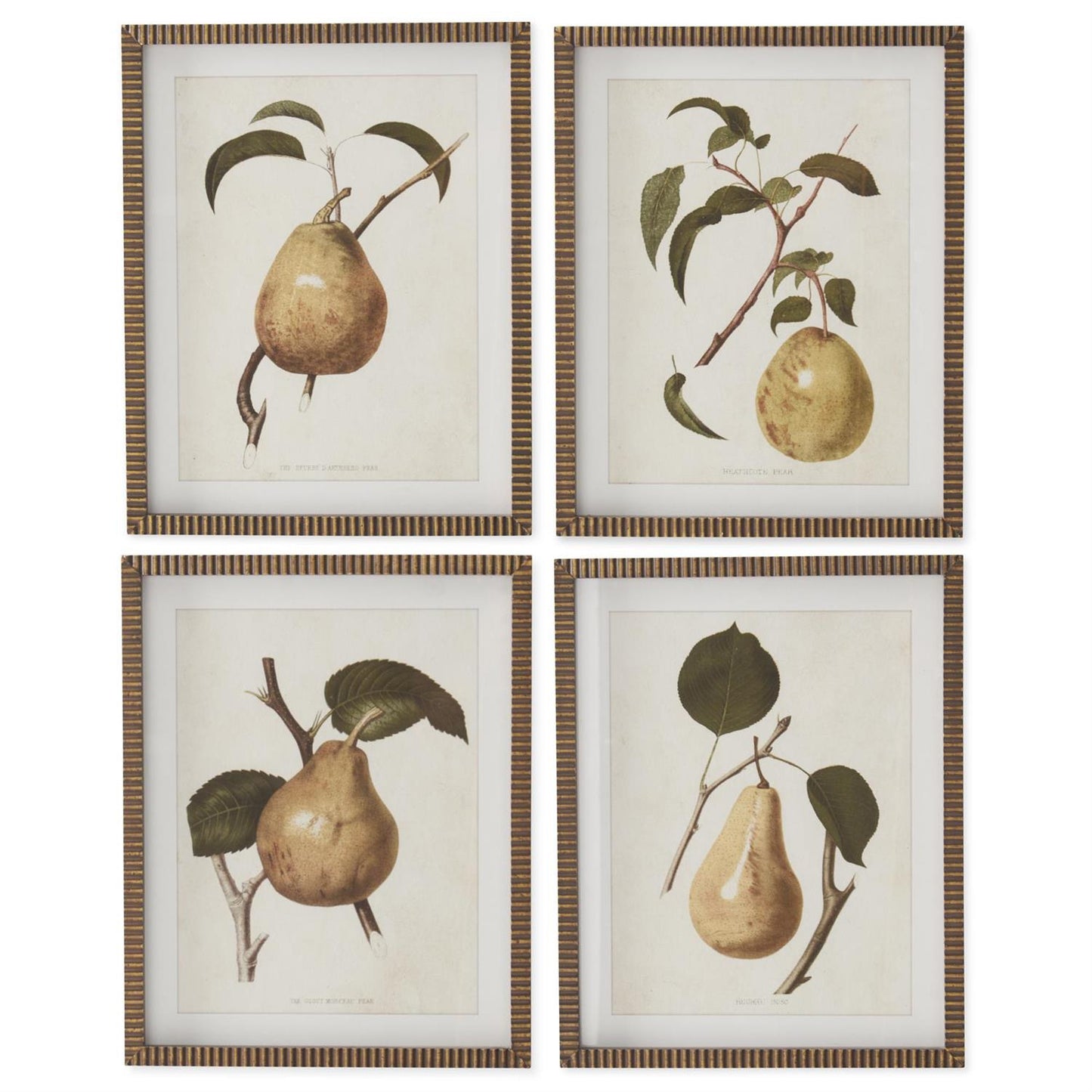 Gold Wood Framed Pear Print Set
