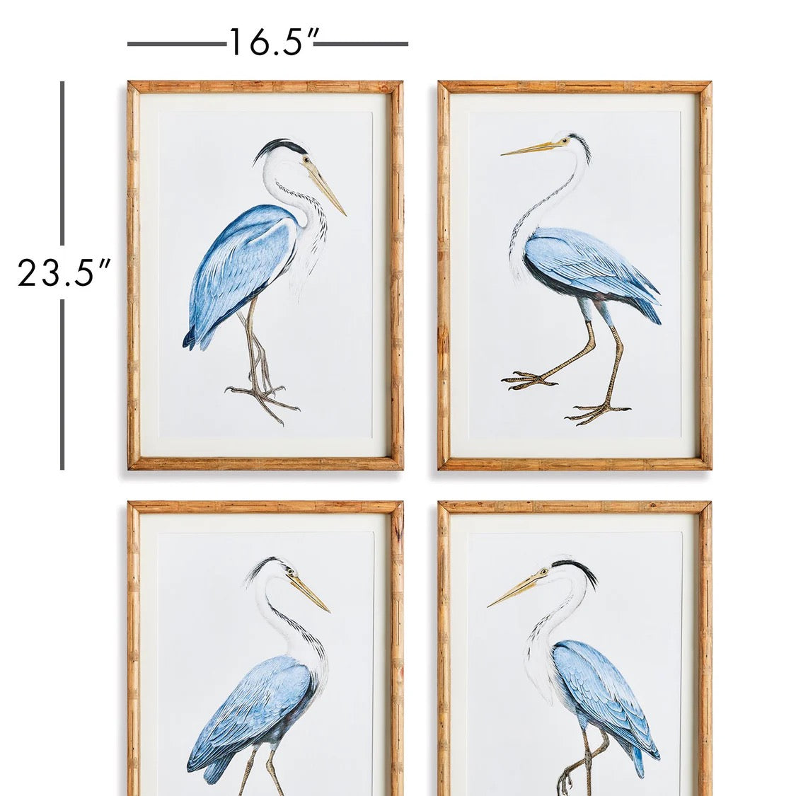 Elegant Blue Heron Print (4 Styles)