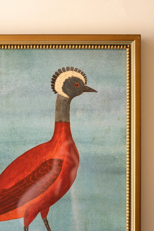 Framed Exotic Animal Prints under Glass