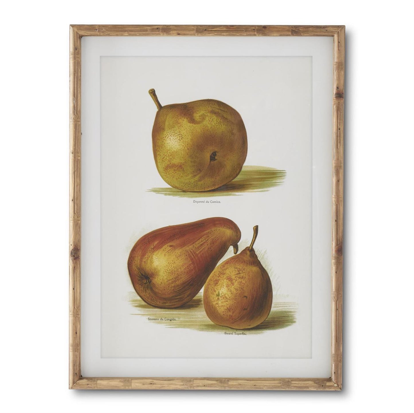 Assorted 23.5 in Wood Framed Pear Prints