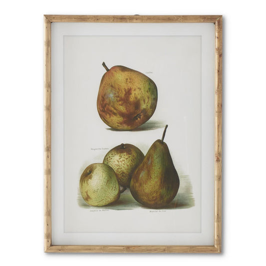 Assorted 23.5 in Wood Framed Pear Prints