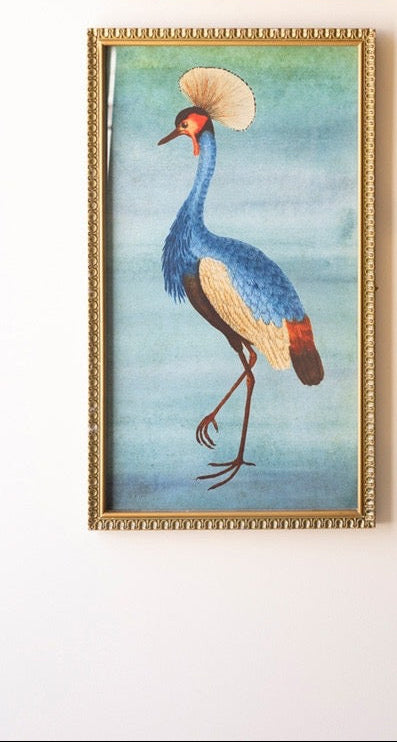Framed Exotic Animal Prints under Glass