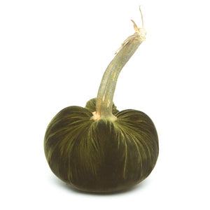 Velvet Pumpkins Various Colors & Sizes
