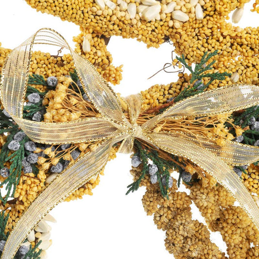 Seed Angel