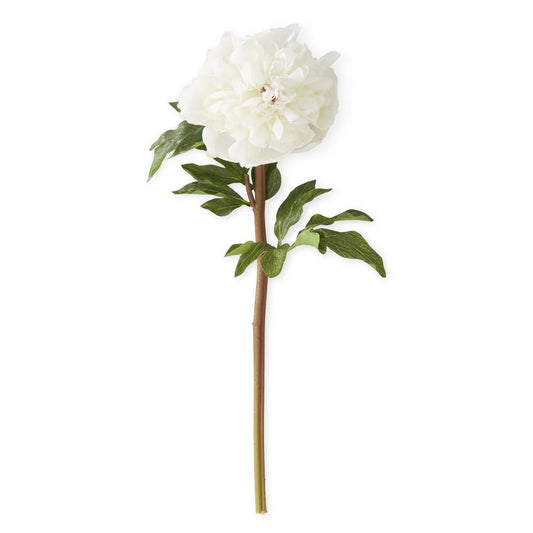 21.5” White Charm Real Touch Peony Stem