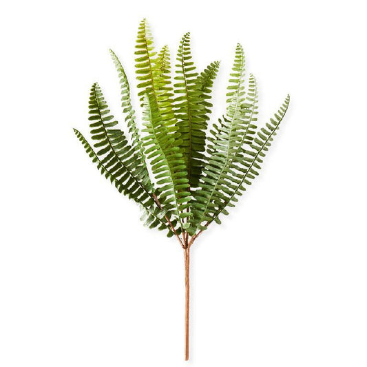 14.5” Fish Bone Fern Stem
