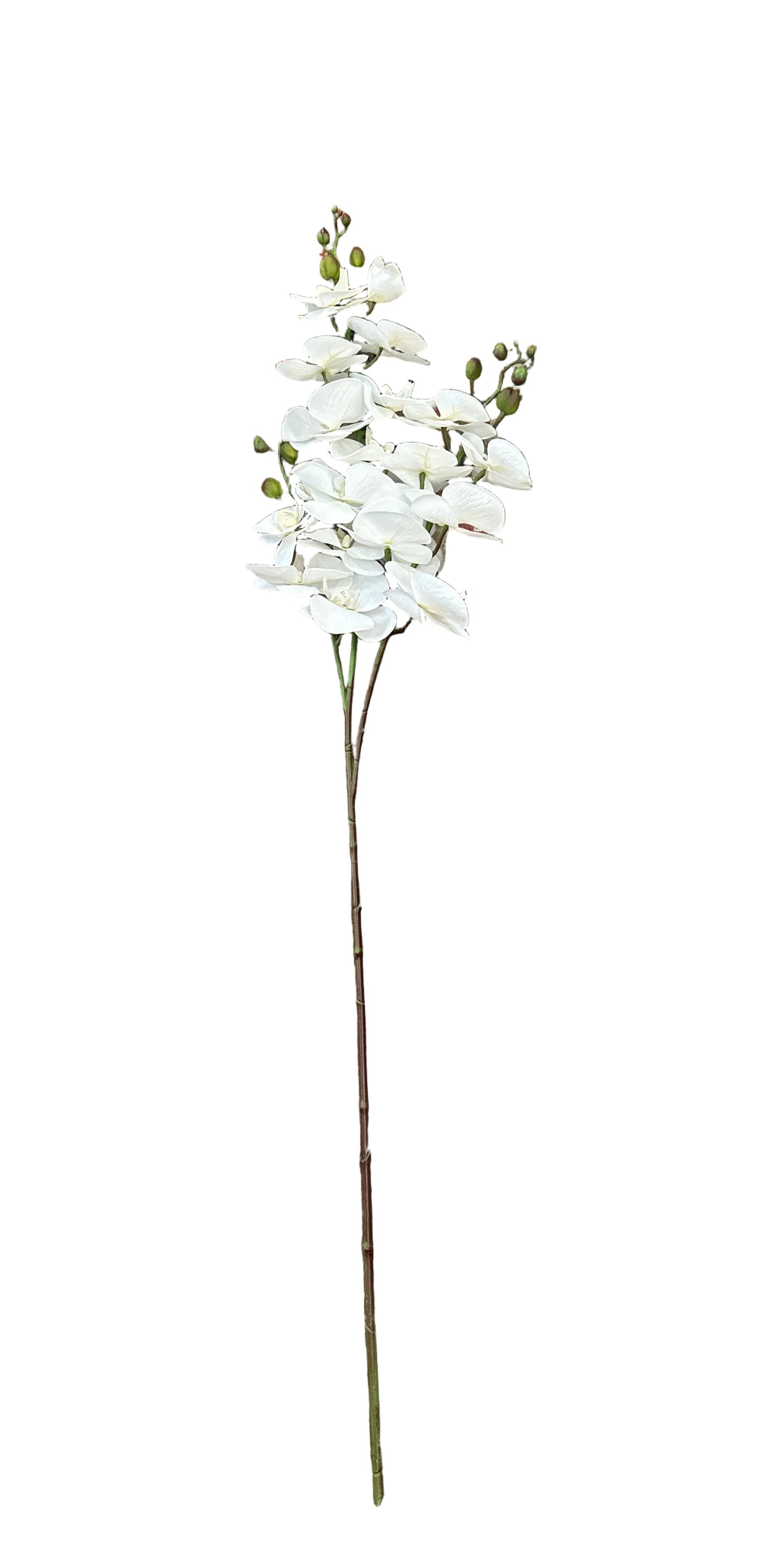 47” White Orchid Spray