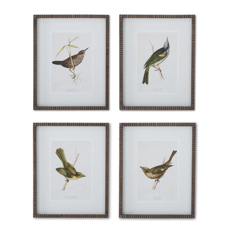 Wood Framed Bird Prints