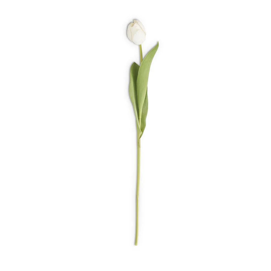 26.75” Silk w/ Real Touch Single Tulip Stem White