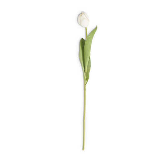 26.75” Silk w/ Real Touch Single Tulip Stem White