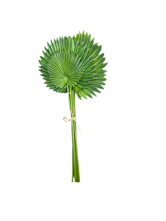 Spikey Palm Stem