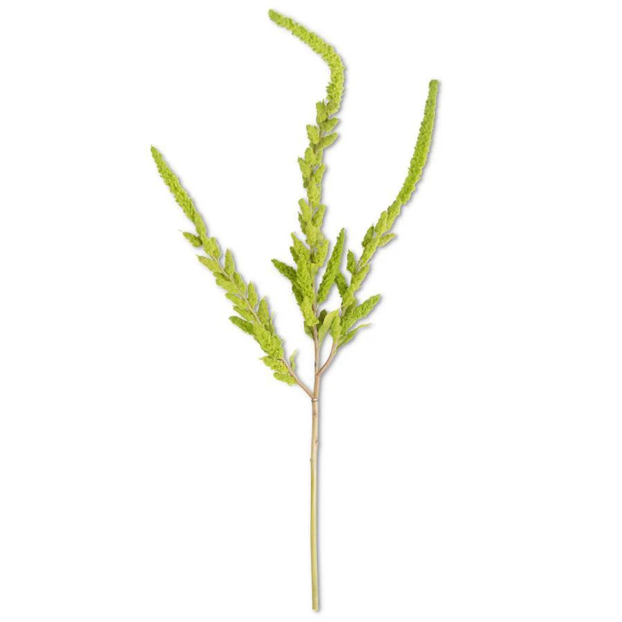 37” Green Amaranthus Stem