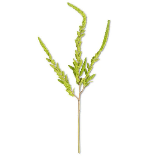 37” Green Amaranthus Stem