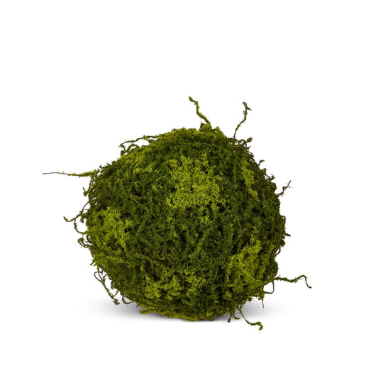 10" Moss Ball