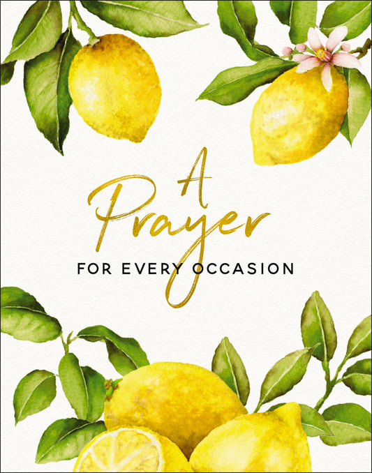 A Prayer For Every Occasion-Book