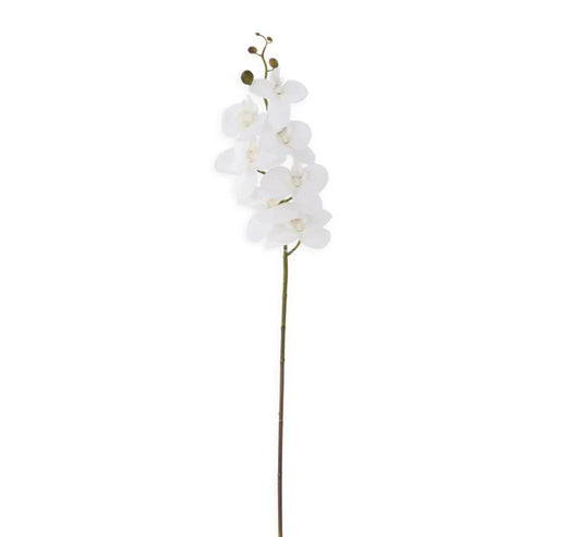 34.5” Orchid Stem White