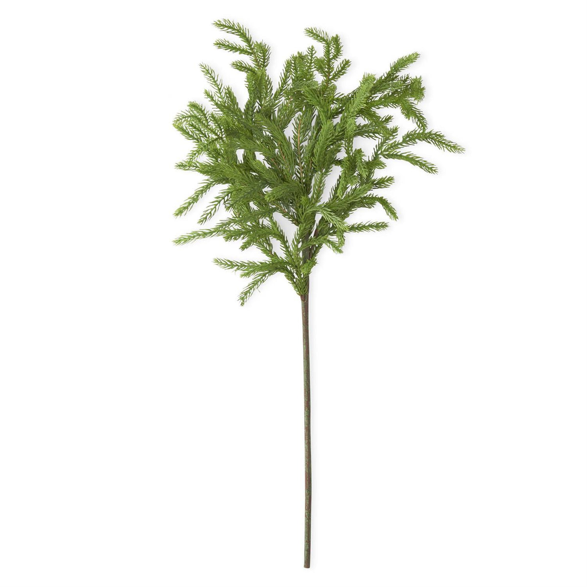 29 Inch Real Touch Norfolk Pine Stem