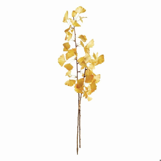 Ginkgo Branch 40”