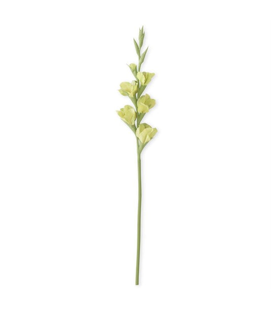 34” Real Touch Gladiolus Green