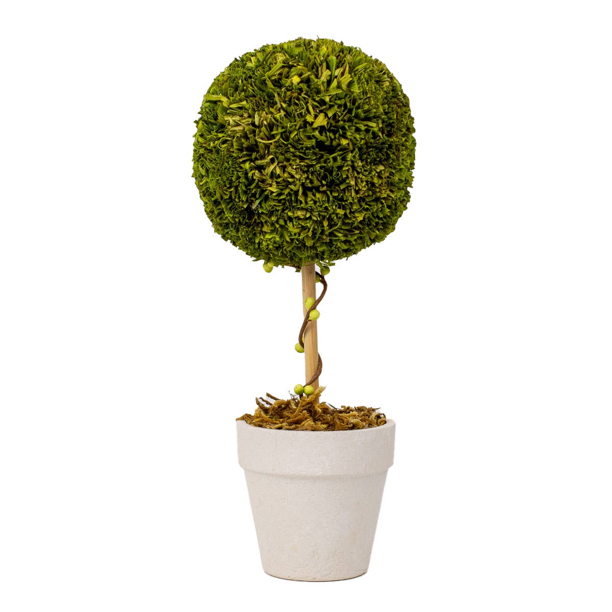 Green Boxwood Topiary