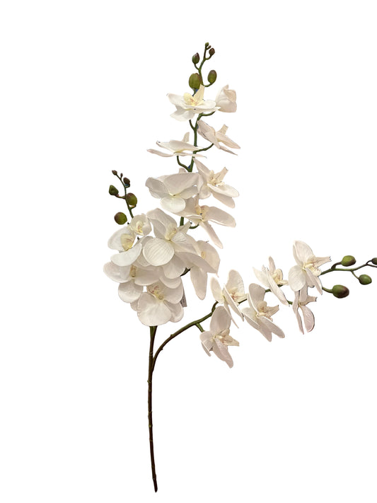 47” White Orchid Spray