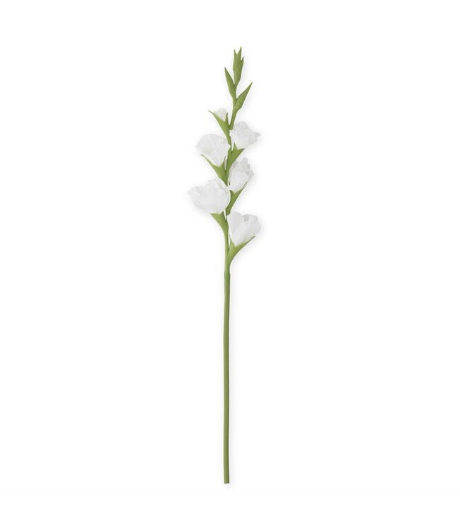 34” Real Touch Gladiolus White