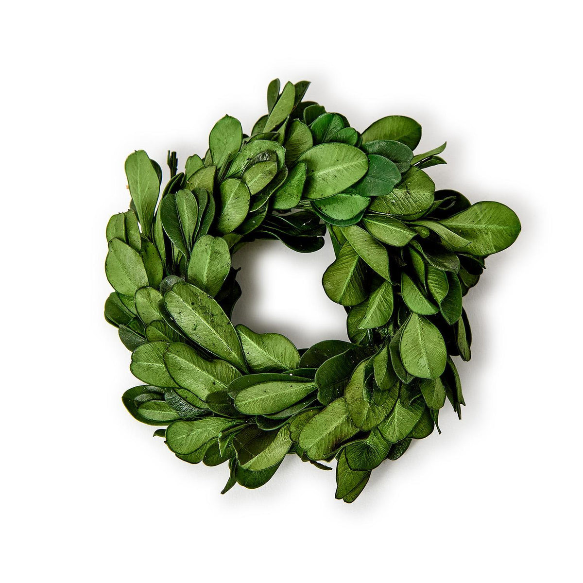 Set of 4 Preserved Boxwood Wreath Napkin Rings