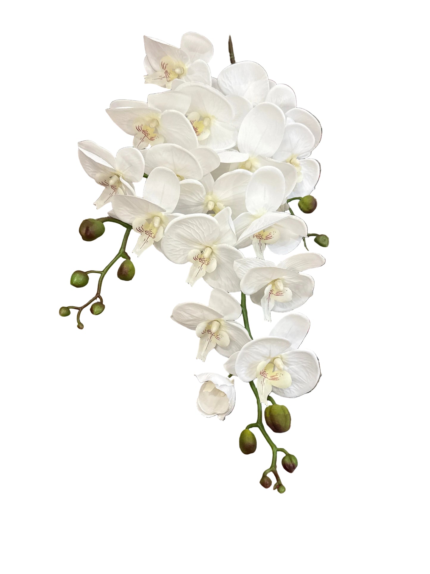 47” White Orchid Spray