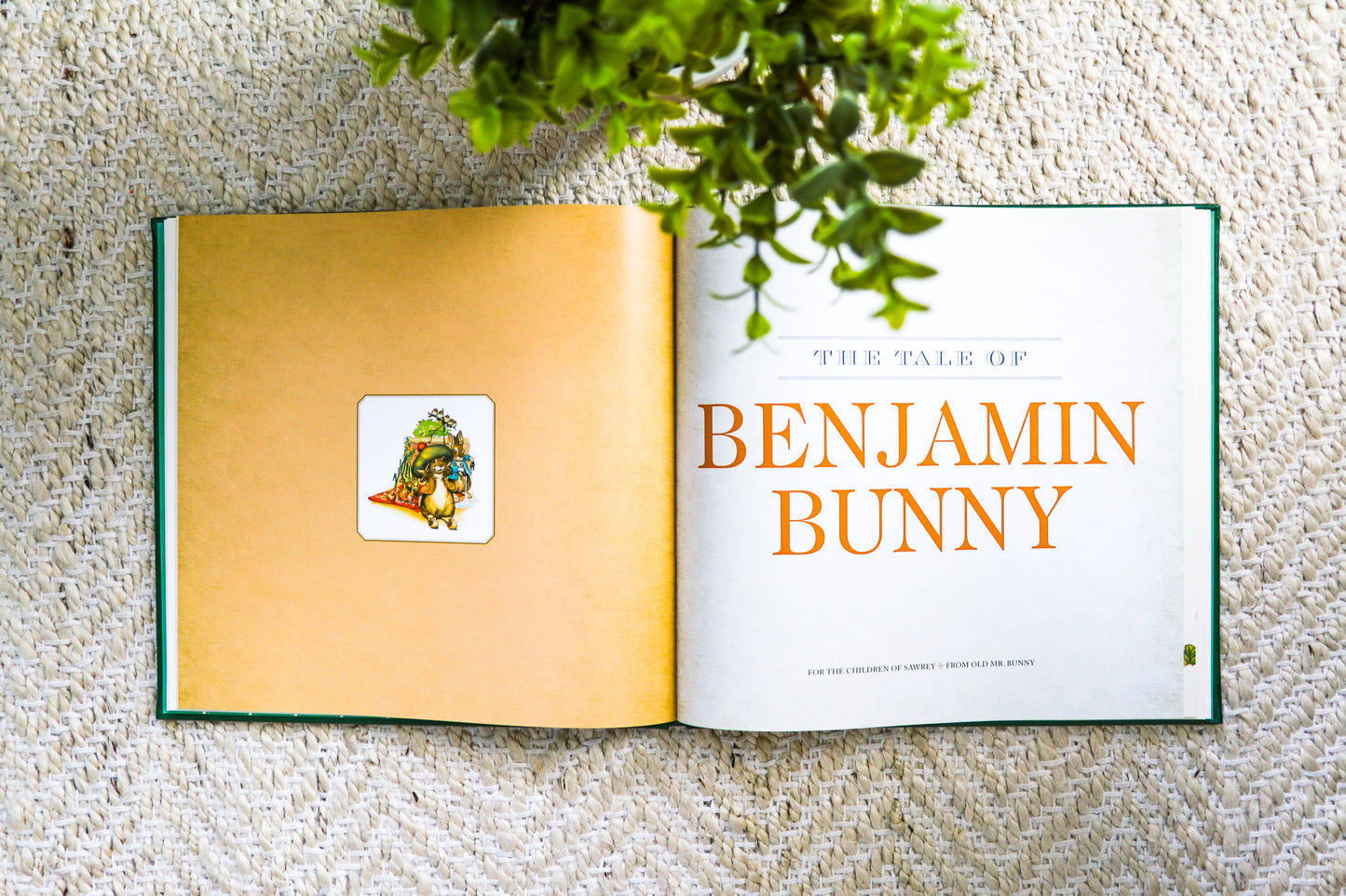 HarperCollins Focus - The Classic Tale of Peter Rabbit: The Collectible Leather Ed