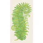 Hester&Cook Guest Napkins Fern