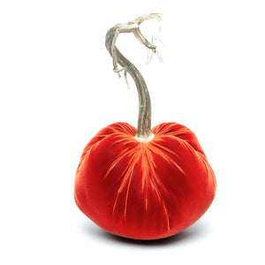 Velvet Pumpkins Various Colors & Sizes