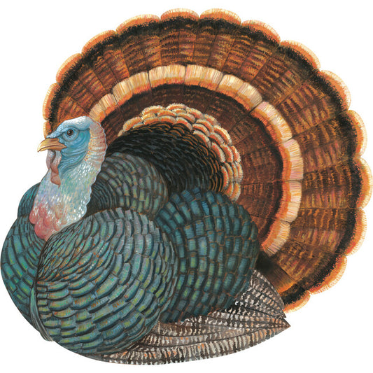 Hester & Cook Seasonal Placemats Heritage Turkey | 12 Pack