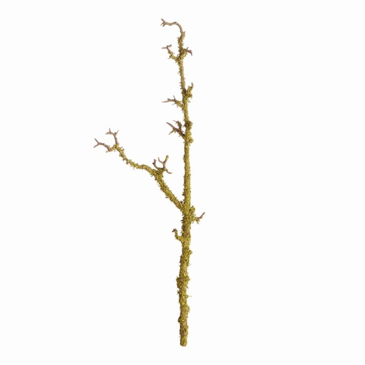 Lichen Branches 28”