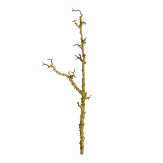 Lichen Branches 28”