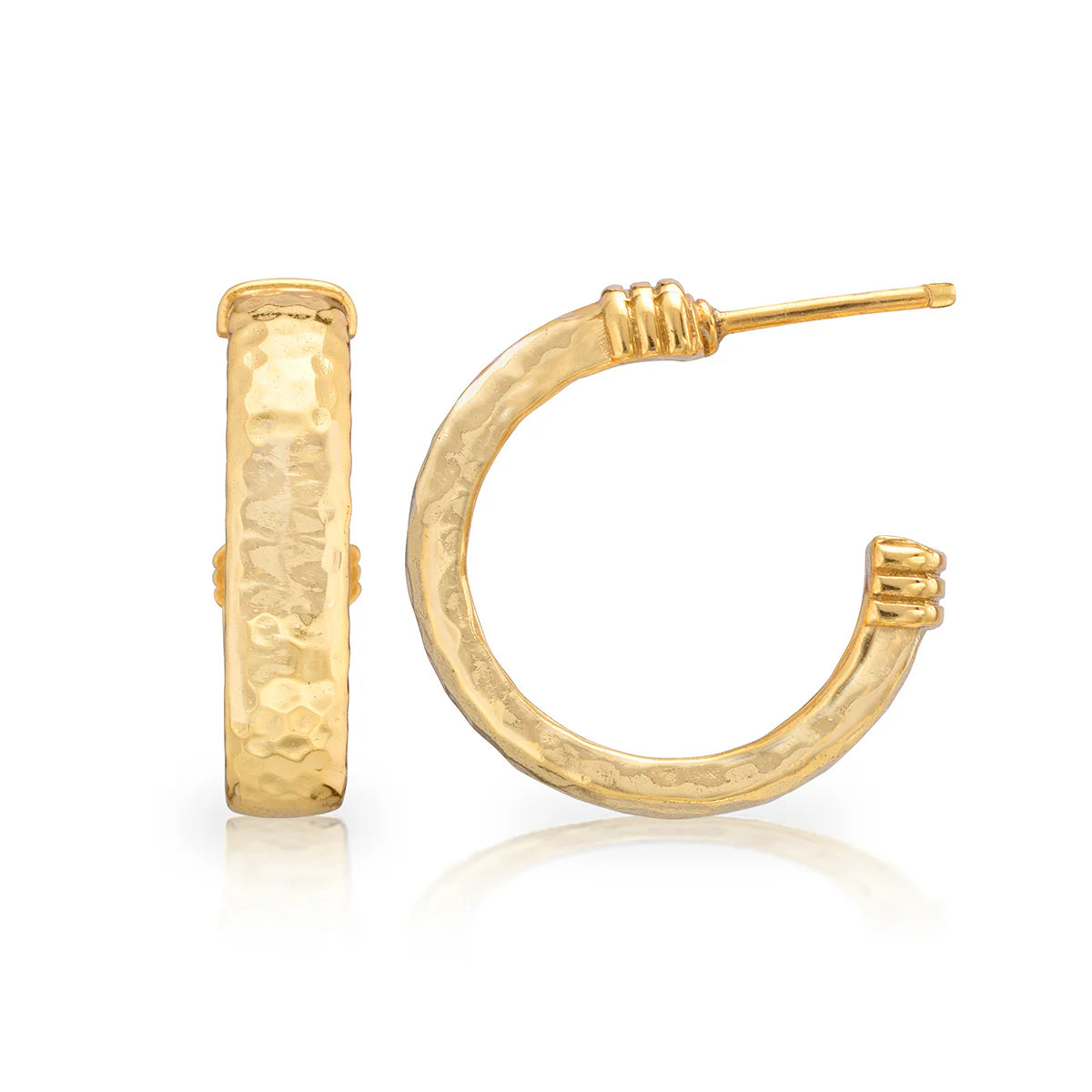 Cleo Classic Medium Hoop Earrings- Gold