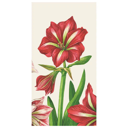 Amaryllis Blooms Guest Napkins