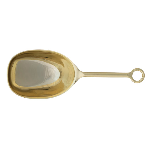 Stainless Steel Scoop