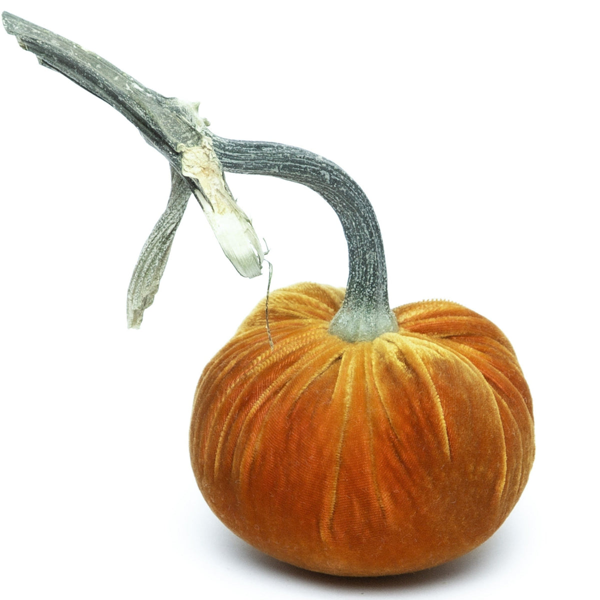 Velvet Pumpkins Various Colors & Sizes