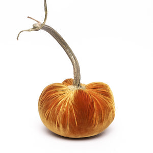 Velvet Pumpkins Various Colors & Sizes